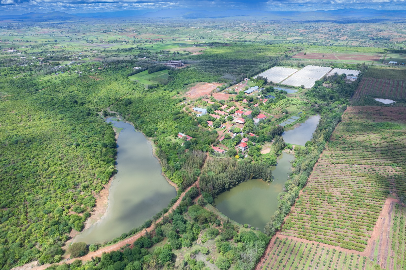 Aerial view of the Mully College campus and surrounding farmland